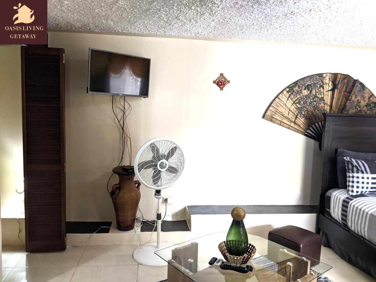 Oasis Living Getaway In Mandeville, Manchester Apartment