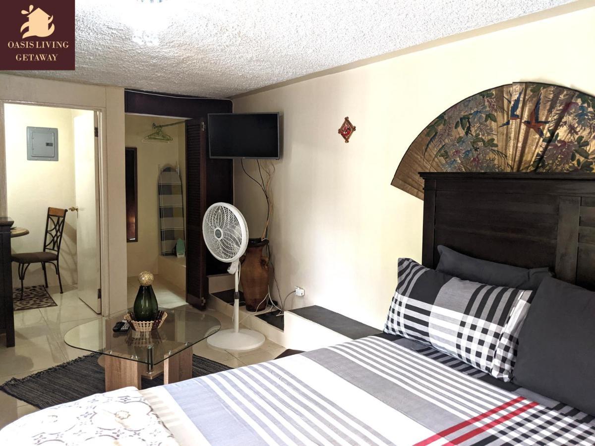 Oasis Living Getaway In Mandeville, Manchester Apartment Mandeville