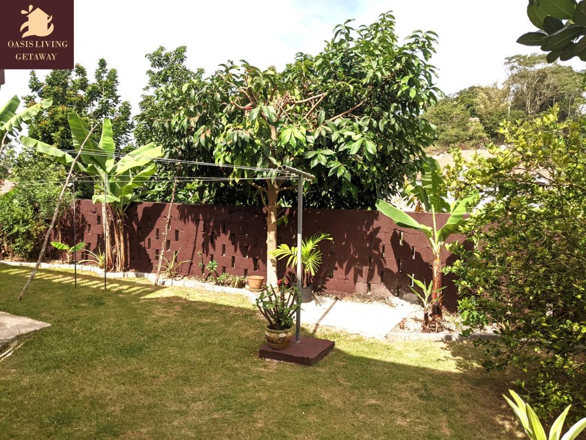 Oasis Living Getaway In Mandeville, Manchester Apartment *