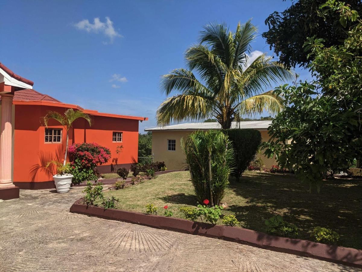 Oasis Living Getaway In Mandeville, Manchester *
