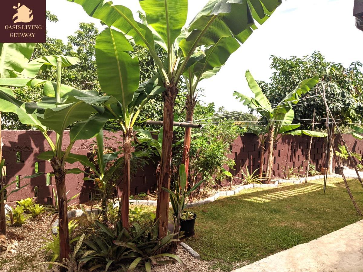 Oasis Living Getaway In Mandeville, Manchester Mandeville